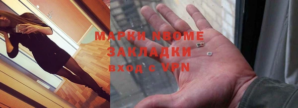 сатива Бородино
