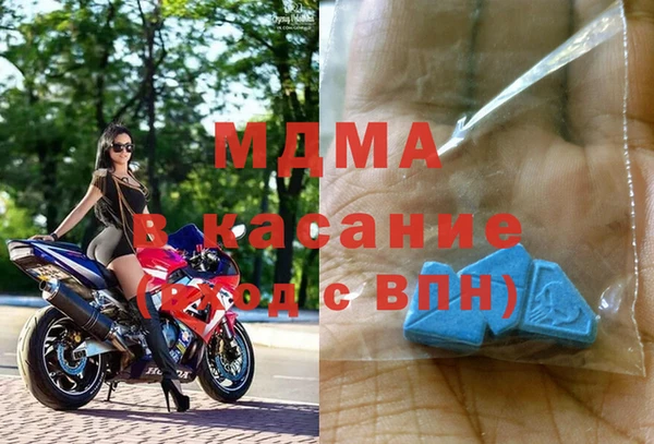 сатива Бородино